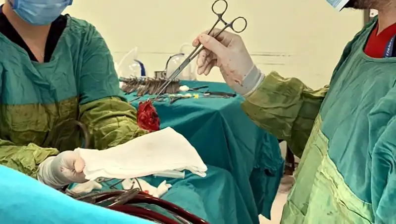 Kalp Kapağı Çürüyen Hastanın 7 Saatlik Ameliyatı: Mucizevi Kurtuluş