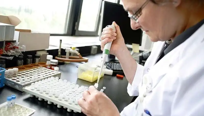 Antibiyotiklere Dirençli Bakteriler: Küresel Sağlık Krizi Tehdit Ediyor