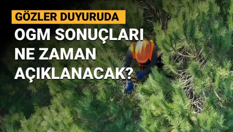 OGM Personel Alımı Duyurusu: 3.477 Sözleşmeli Pozisyona Başvurular Ne Zaman Sonuçlanacak?