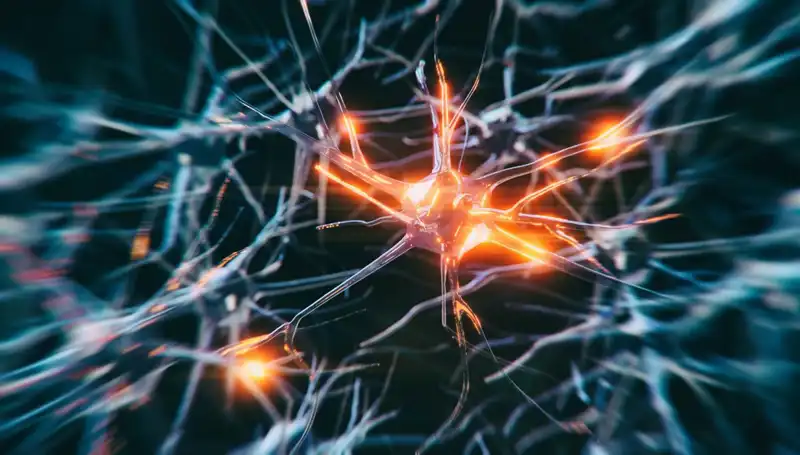 Alzheimer Vakalarının Artış Sebepleri: Bilim Ne Diyor?