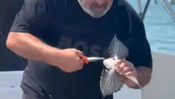 Saros'ta Nadir Kırlangıç Balığı Oltaya Takıldı ve Şaşkınlık Yarattı