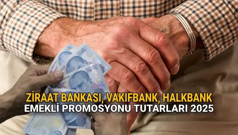 2025'te Emeklilere Bekleyen Promosyon Fırtınası: Kamu Bankalarında Son Durum