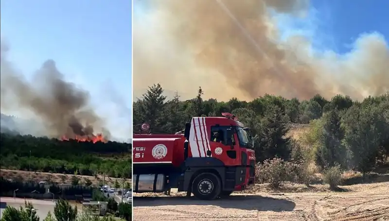 Gebze’deki Orman Yangını: Nedenleri ve Alınan Önlemler
