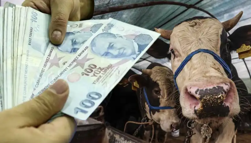Kurban Bayramı'nda Emekli ve Memur Maaşları Ne Zaman Yatacak?