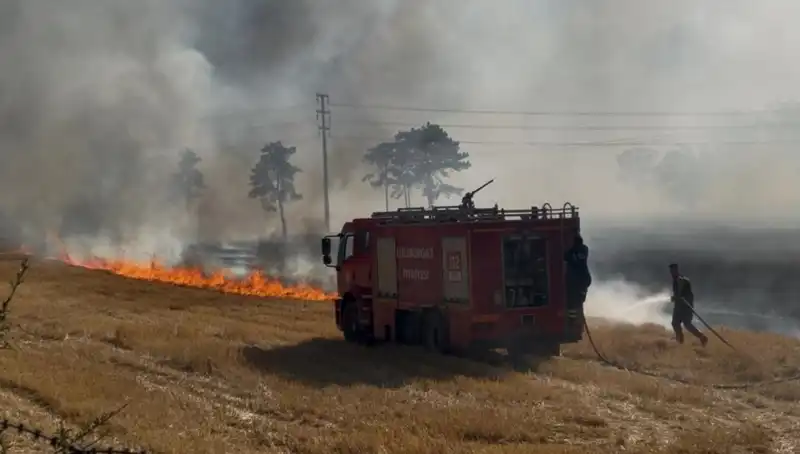 Kırklareli'nde Korkutan Anız Yangını: Zarar Büyüyor!