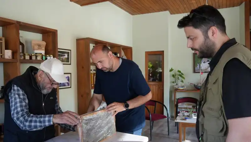 Hem Şifa Hem de Tehlike: 1 Çay Kaşığıyla Sınırlı Kullanım