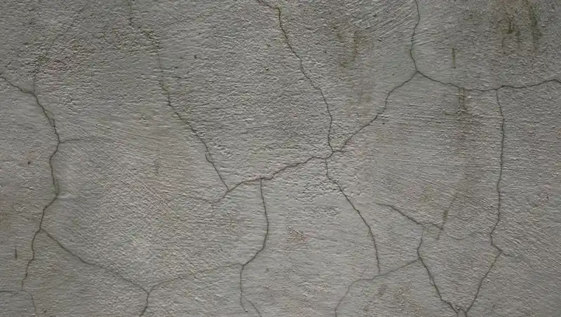 Canlı Beton: Yapıları Güçlendiren Devrim Niteliğinde Bir İcat