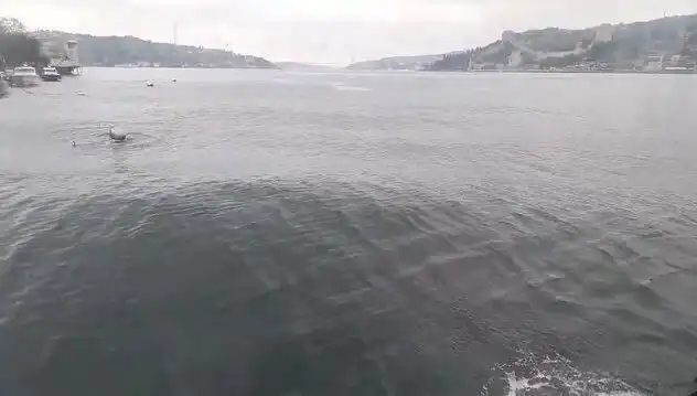 İstanbul Boğazı'nda Dalgalar Yükseldi: Doğanın Gücüyle Mücadele