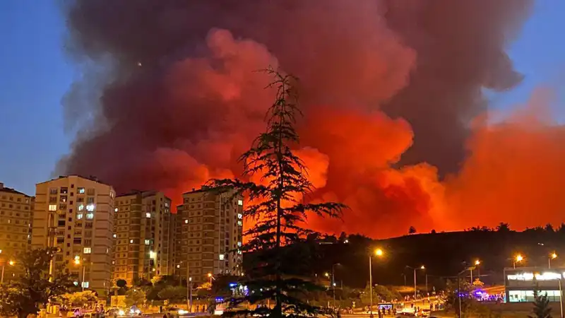 Bursa'da Yangınlar Neden Bu Kadar Yaygın Hale Geldi?