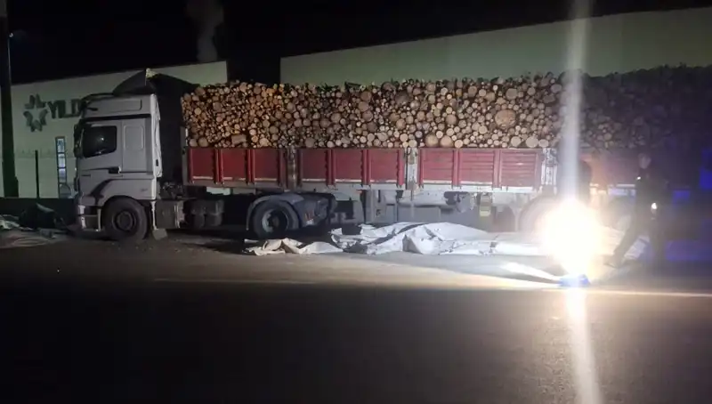 TIR Sürücüsü Brandayı Toplarken Kazada Hayatını Kaybetti