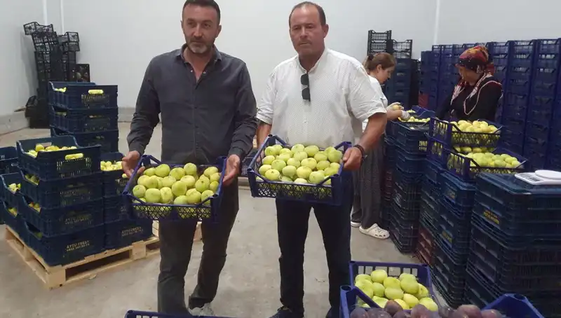 Mersinli Çiftçinin Tarım Ürünü Fırtınası: Tanesi 20 TL'den İhraç Ediliyor!