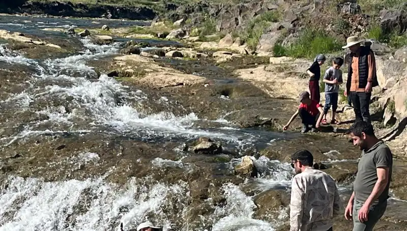 İnci Kefalinin Göç Yolu: Binlerce Kilometrelik Uzun Yolculuk Turistleri Büyülüdü