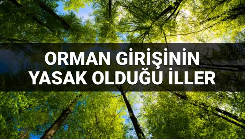 2025’te Orman Girişine Yasaklanan İller: Hangi İllerde Giriş Yasak?