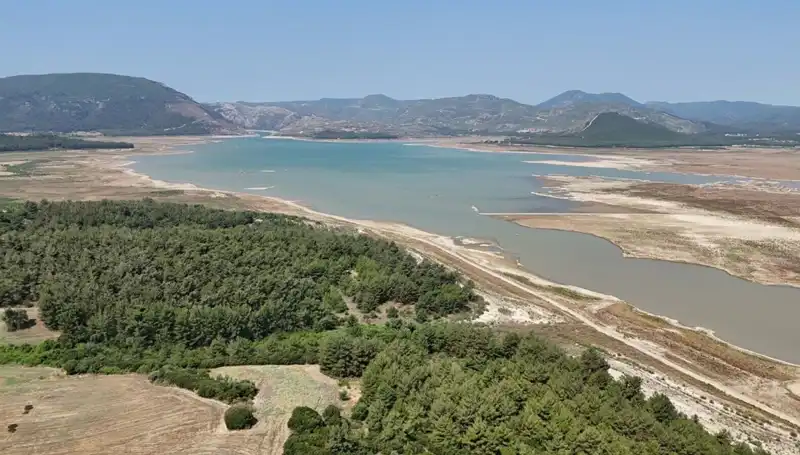 İzmir’de Tehlike Çanları: Geçen Yıla Göre Yüzde 50 Düşüş Neden Oluyor?