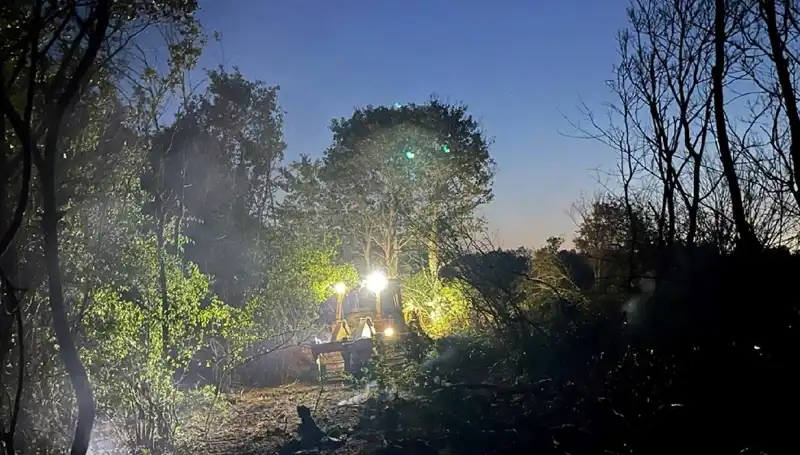 Edirne'deki Orman Yangını Korku Dolu Anların Ardından Söndürüldü